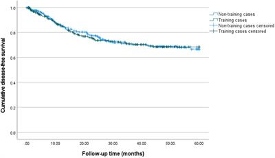 Proficiency-based progression training in robot-assisted laparoscopy for endometrial cancer: peri-operative and survival outcomes from an observational cohort study